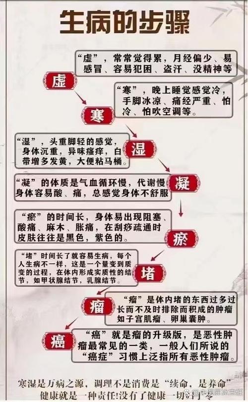 淤堵不除，结节渐长 从“淤堵试验仪”看身体里的无声积累
